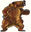 Angry Grizzly Bear Stock Illustration - Download Image Now - Bear,  Standing, Anger - iStock